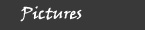 m_pics_off.jpg